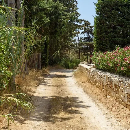 Sun Drop I With Private Pool Paros Villa Drios